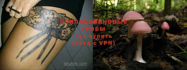 гашик Алексеевка