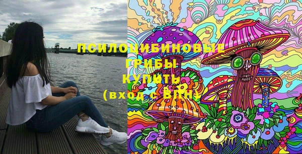 метадон Алексин