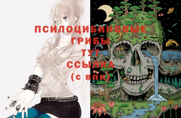 гашик Алексеевка