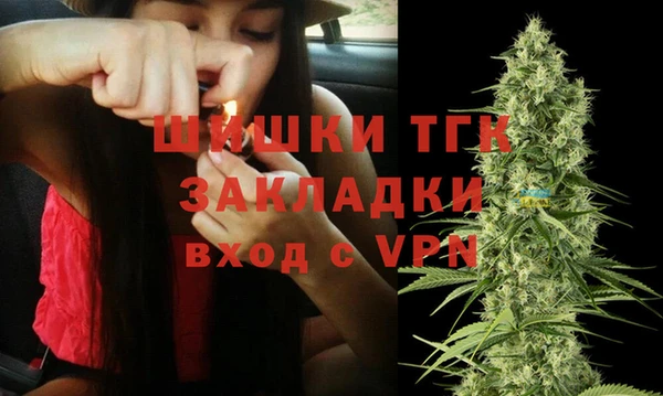 гашик Алексеевка