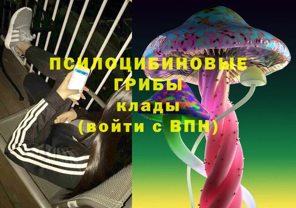 гашик Алексеевка