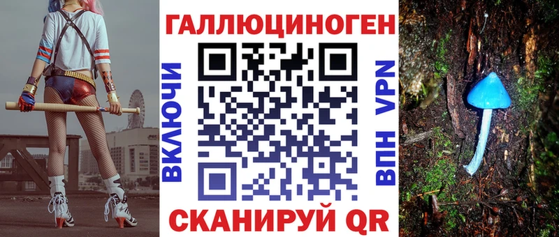 что такое   Апшеронск  Псилоцибиновые грибы ЛСД 