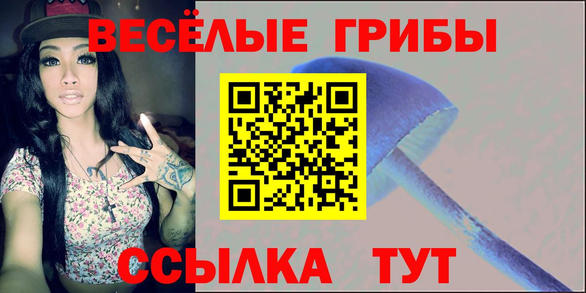 Галлюциногенные грибы Magic Shrooms  купить   Псилоцибиновые грибы MAGIC MUSHROOMS  Апшеронск  Вход с VPN 