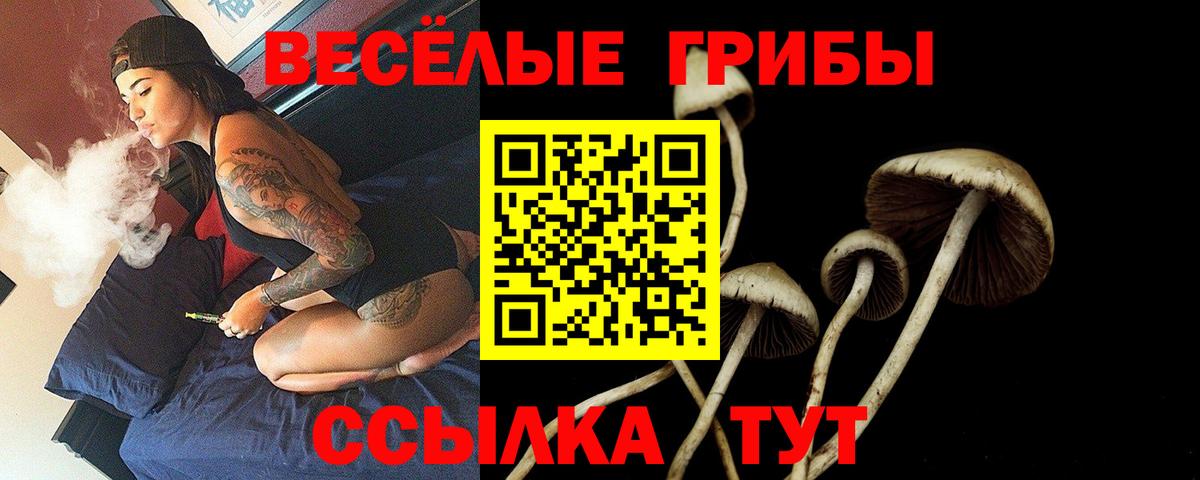 наркошоп  Галлюциногенные грибы ЛСД  Вход с VPN  Галлюциногенные грибы MAGIC MUSHROOMS  Апшеронск 