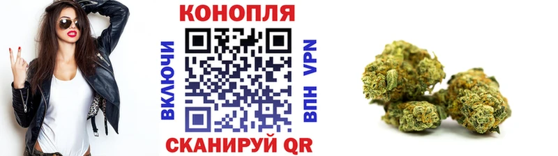 Каннабис сатива наркотики Апшеронск